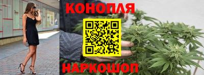 прущие грибы Гусь-Хрустальный